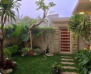 Taman Tropis Minimalis